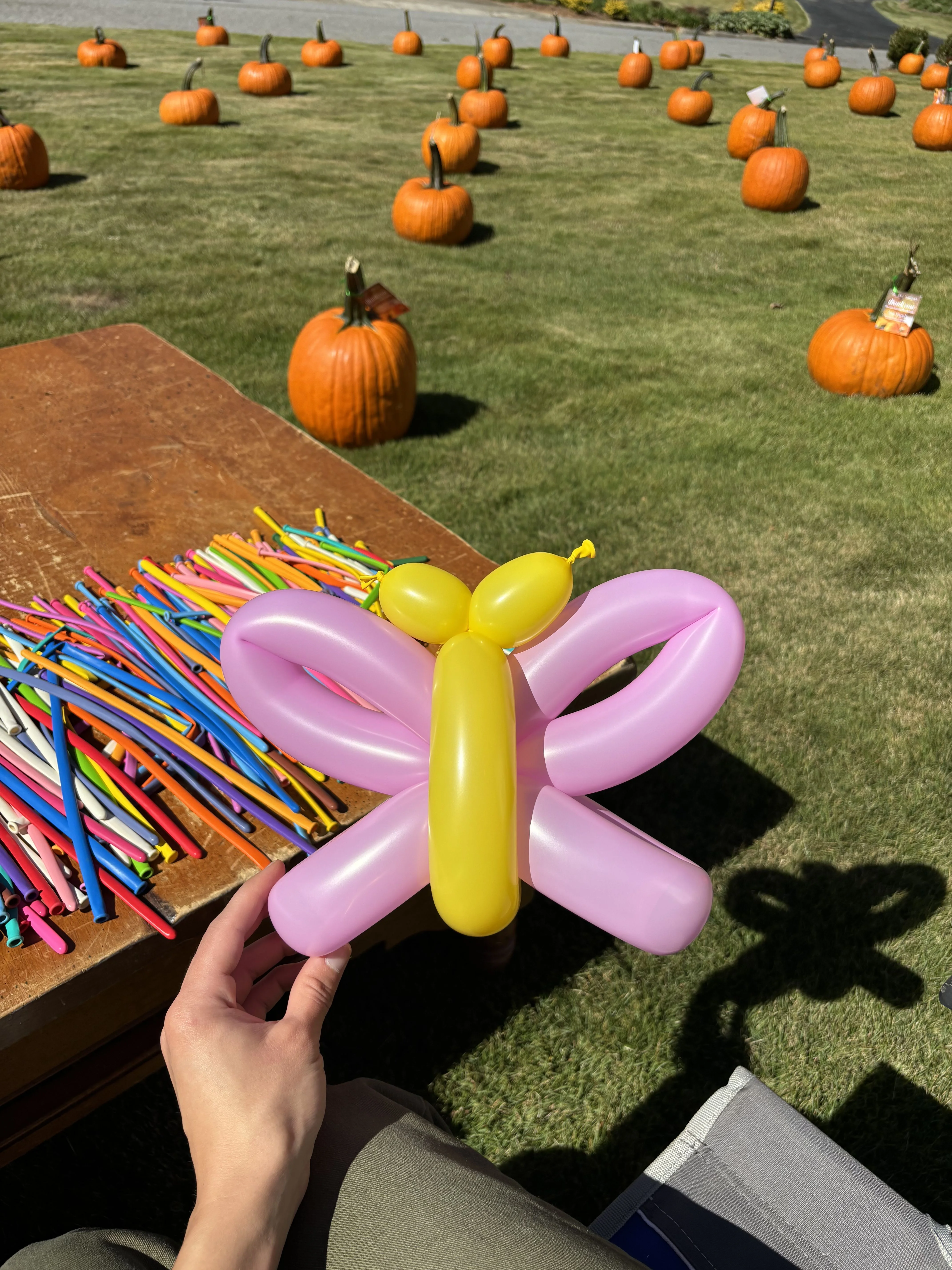 Balloon Art